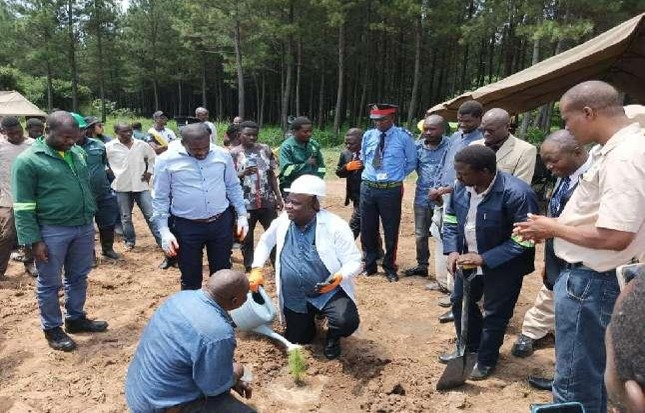 Independence Day Celebration